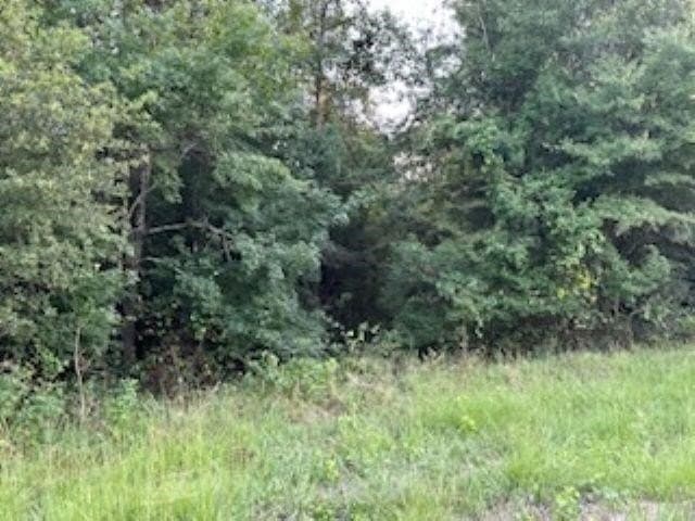 50 acres in Texas County - photo 8