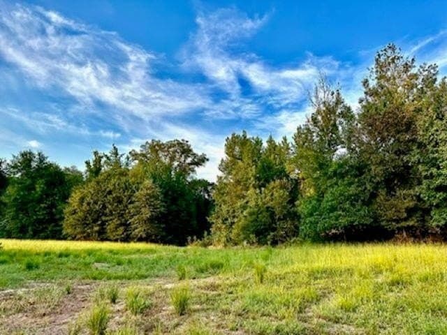 50 acres in Texas County gallery image 2