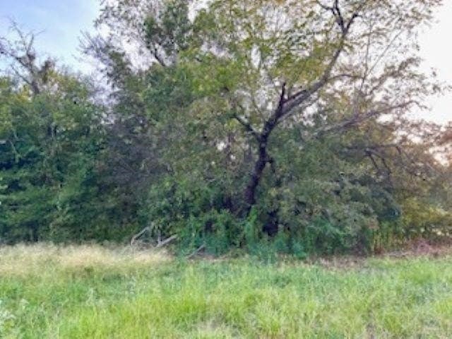50 acres in Texas County - photo 6