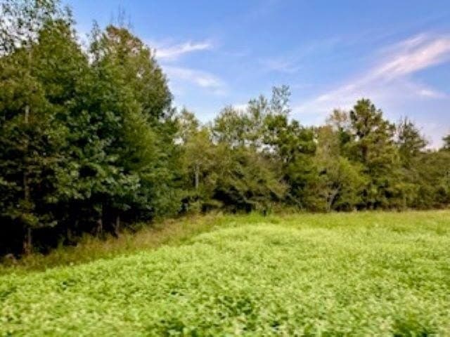 50 acres in Texas County - photo 11