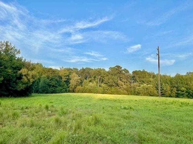 50 acres in Texas County gallery image 4