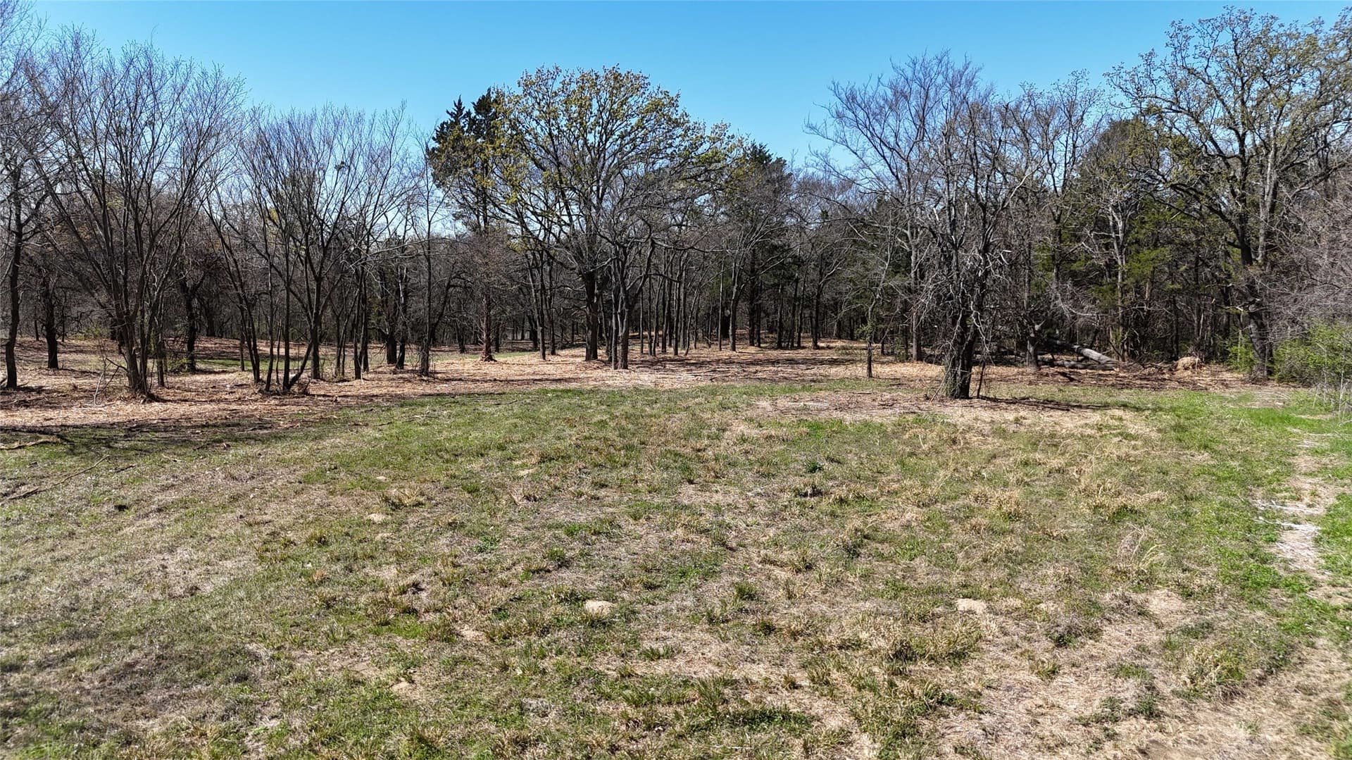 4.19 acres in Grayson County - photo 7