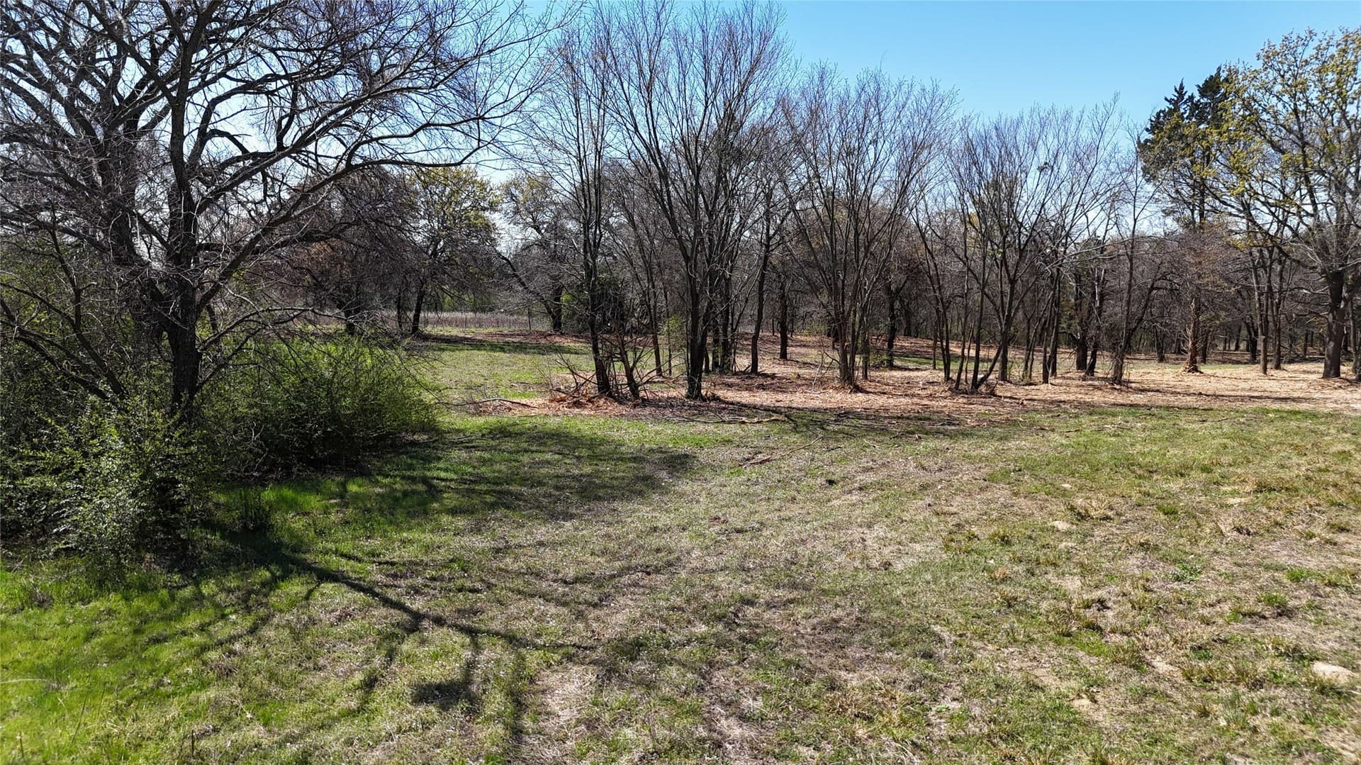 4.19 acres in Grayson County - photo 8