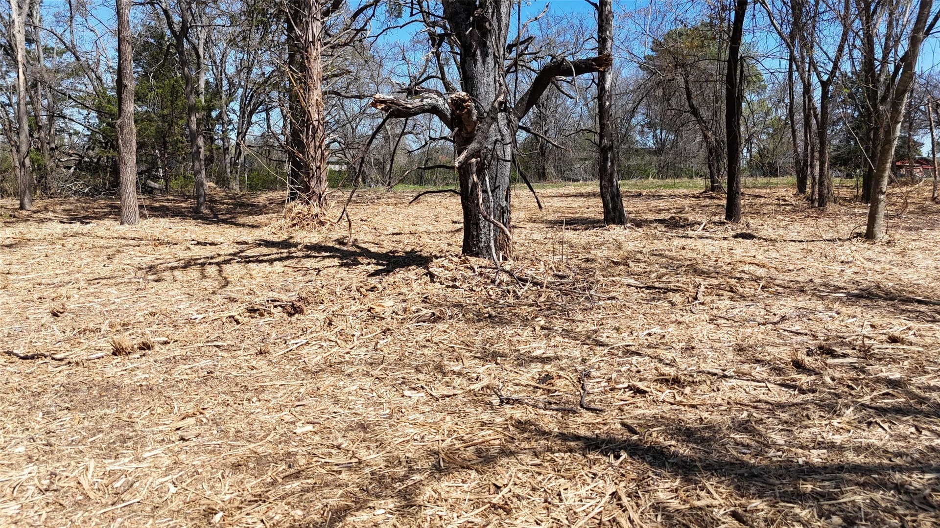 4.19 acres in Grayson County - photo 6