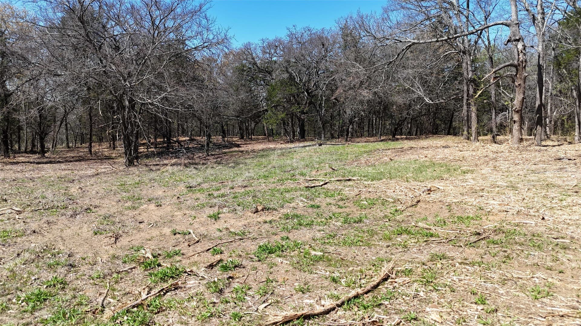 4.19 acres in Grayson County - photo 5