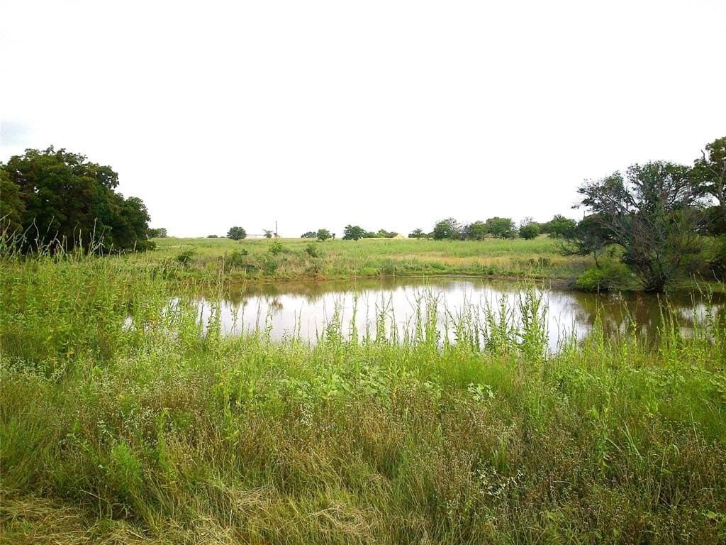 26 acres in Montague County gallery image 2