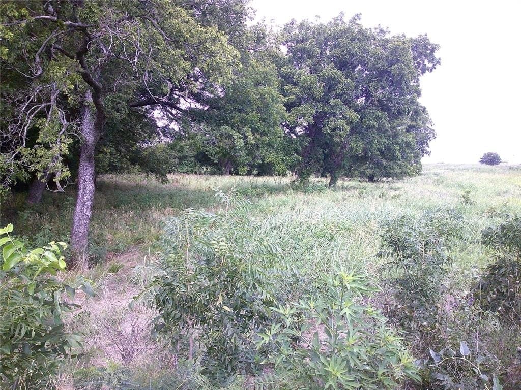26 acres in Montague County gallery image 4