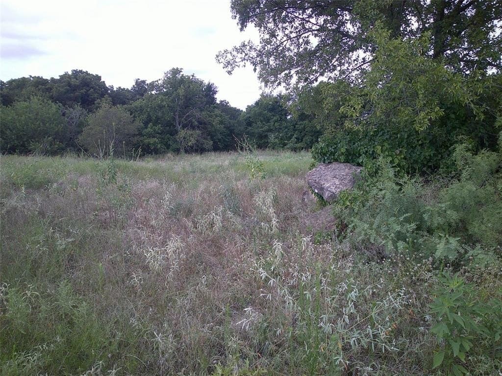 26 acres in Montague County gallery image 3