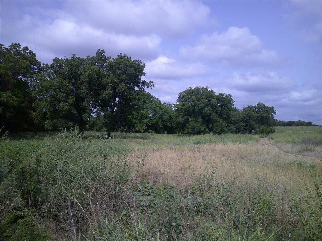 26 acres in Montague County featured view