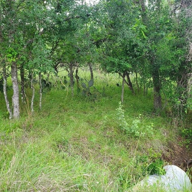 0.23 acres in Burnet County gallery image 4