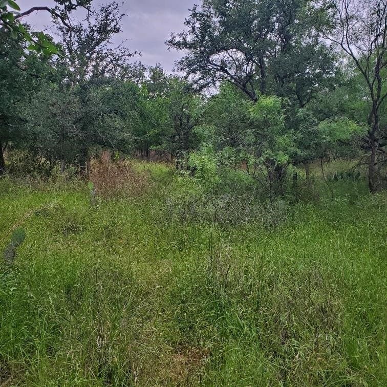 0.23 acres in Burnet County gallery image 3