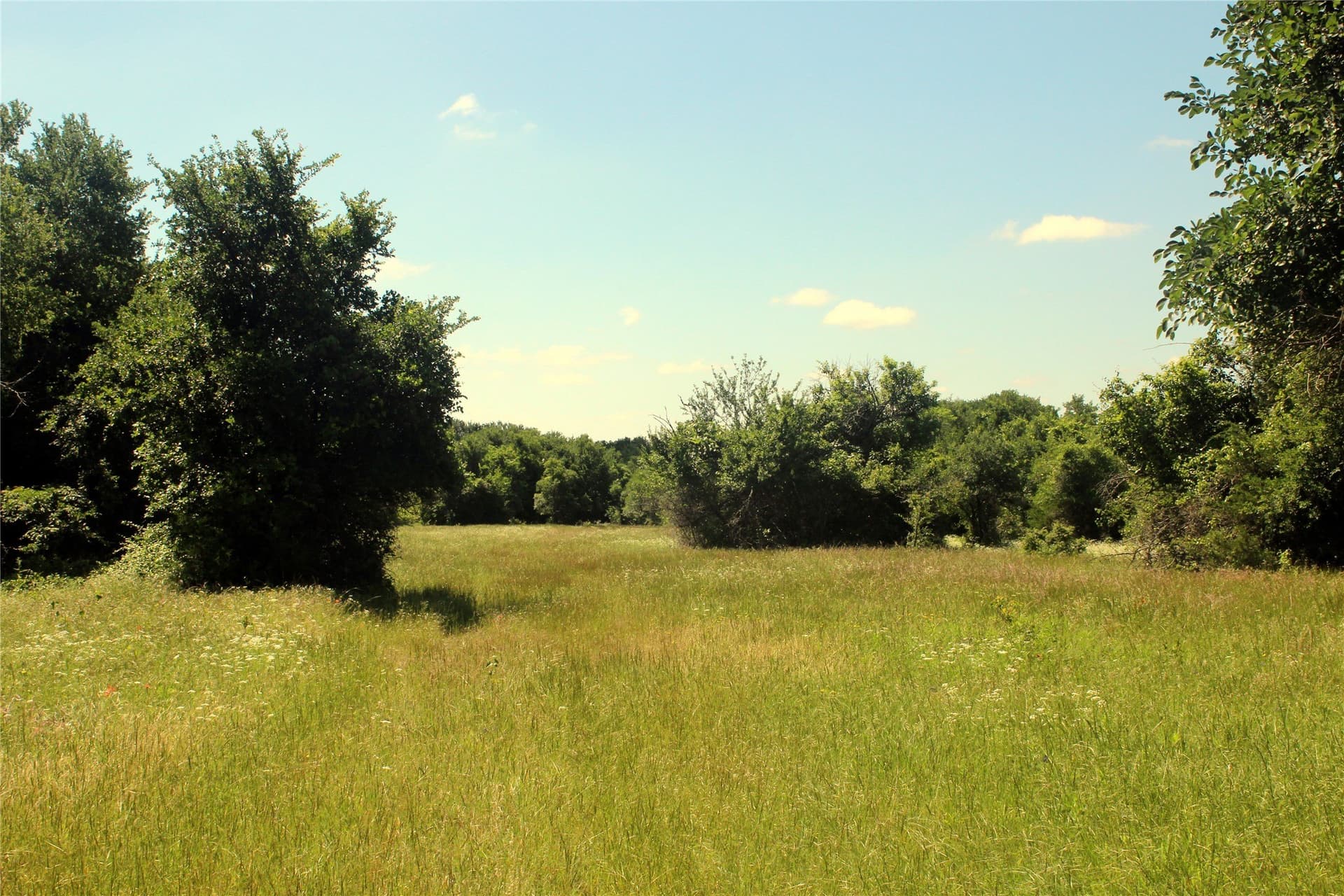 515 acres in Hill County - photo 9