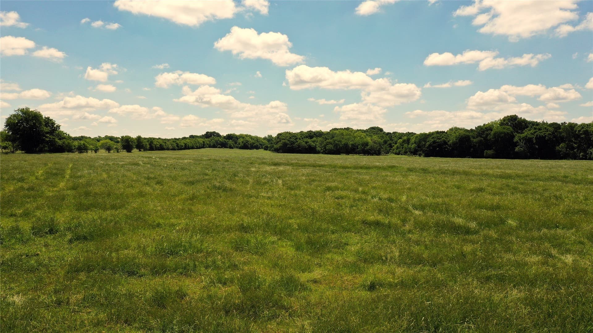 515 acres in Hill County - photo 19