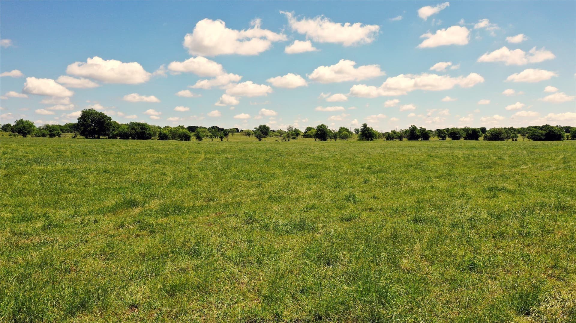 515 acres in Hill County - photo 13