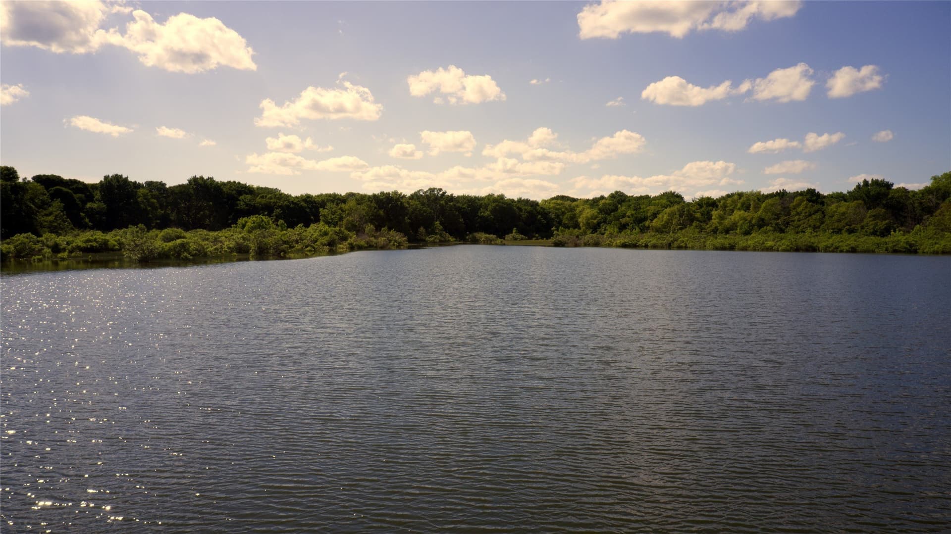 515 acres in Hill County - photo 22