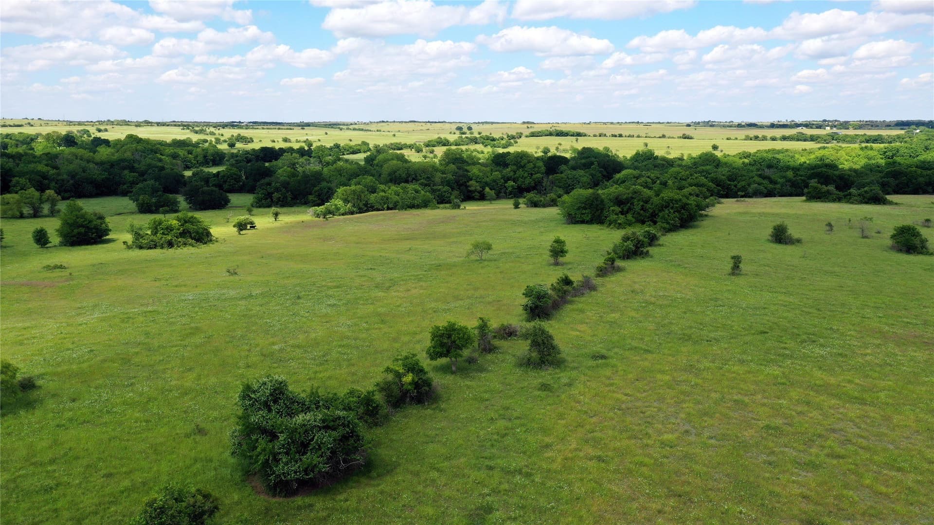515 acres in Hill County - photo 14