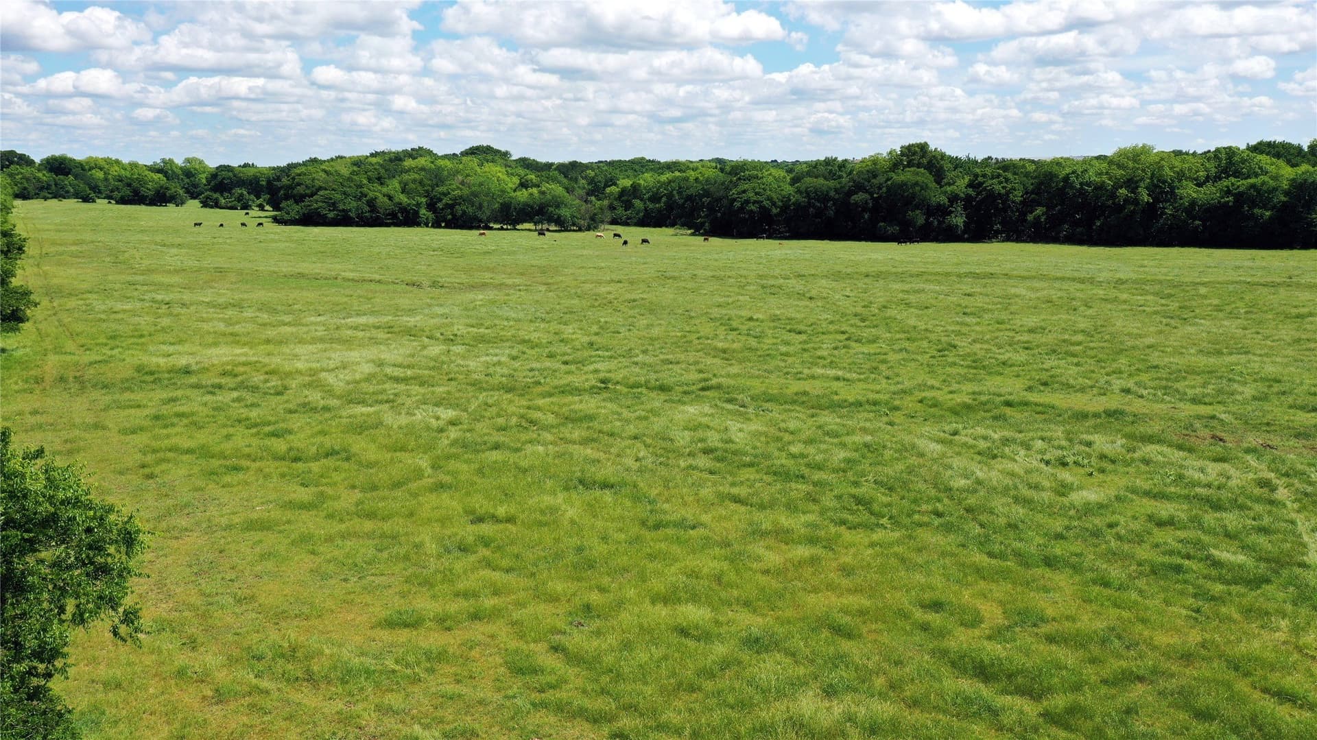 515 acres in Hill County - photo 3