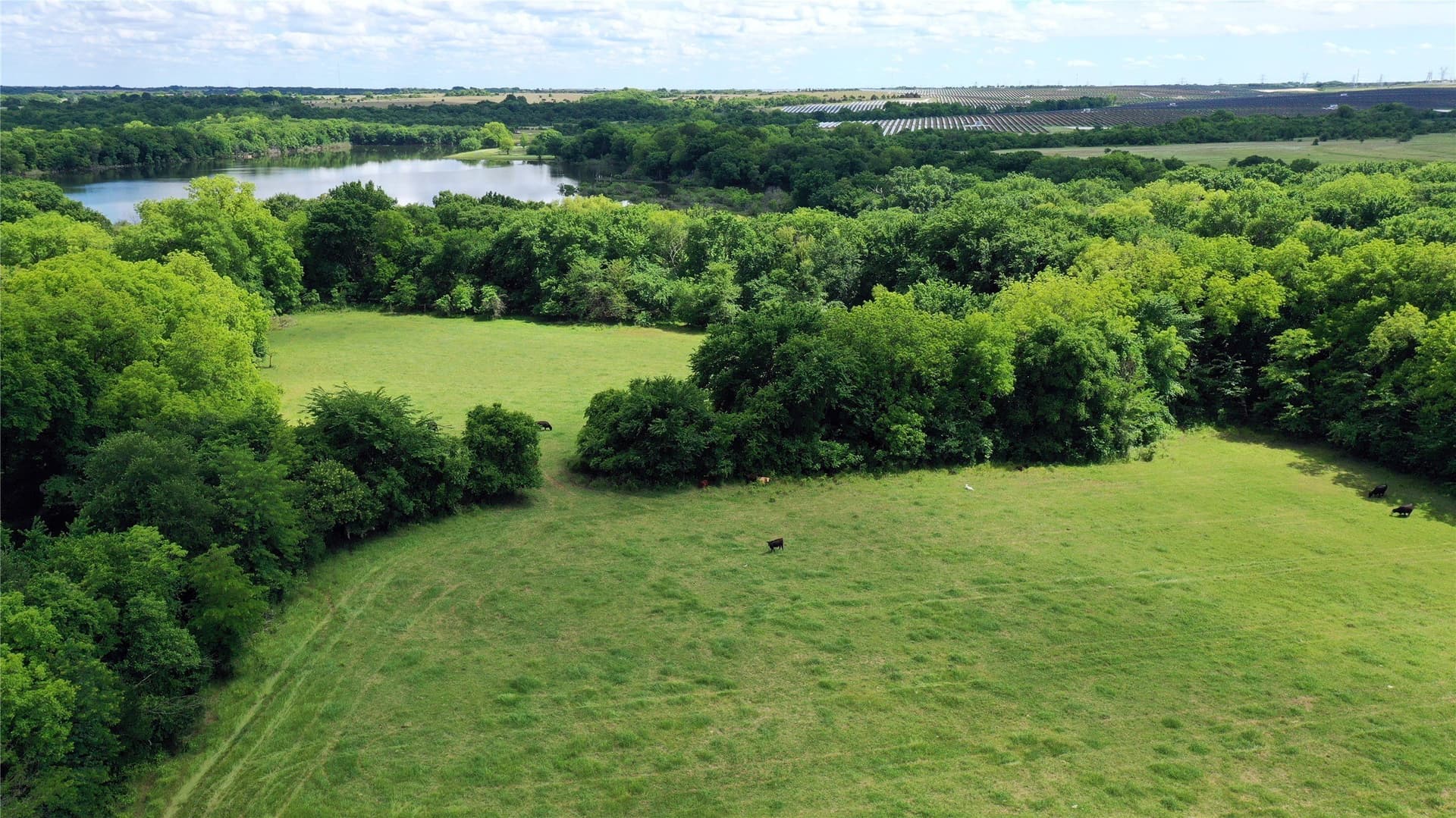 515 acres in Hill County - photo 2