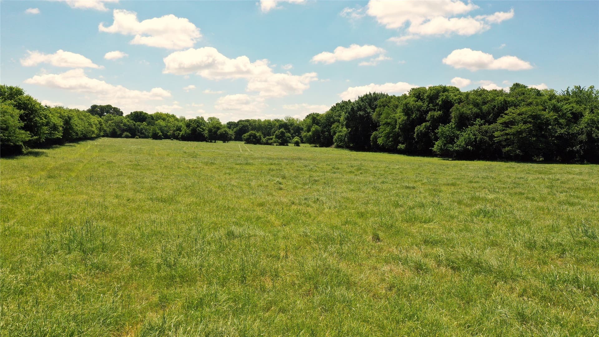 515 acres in Hill County - photo 11