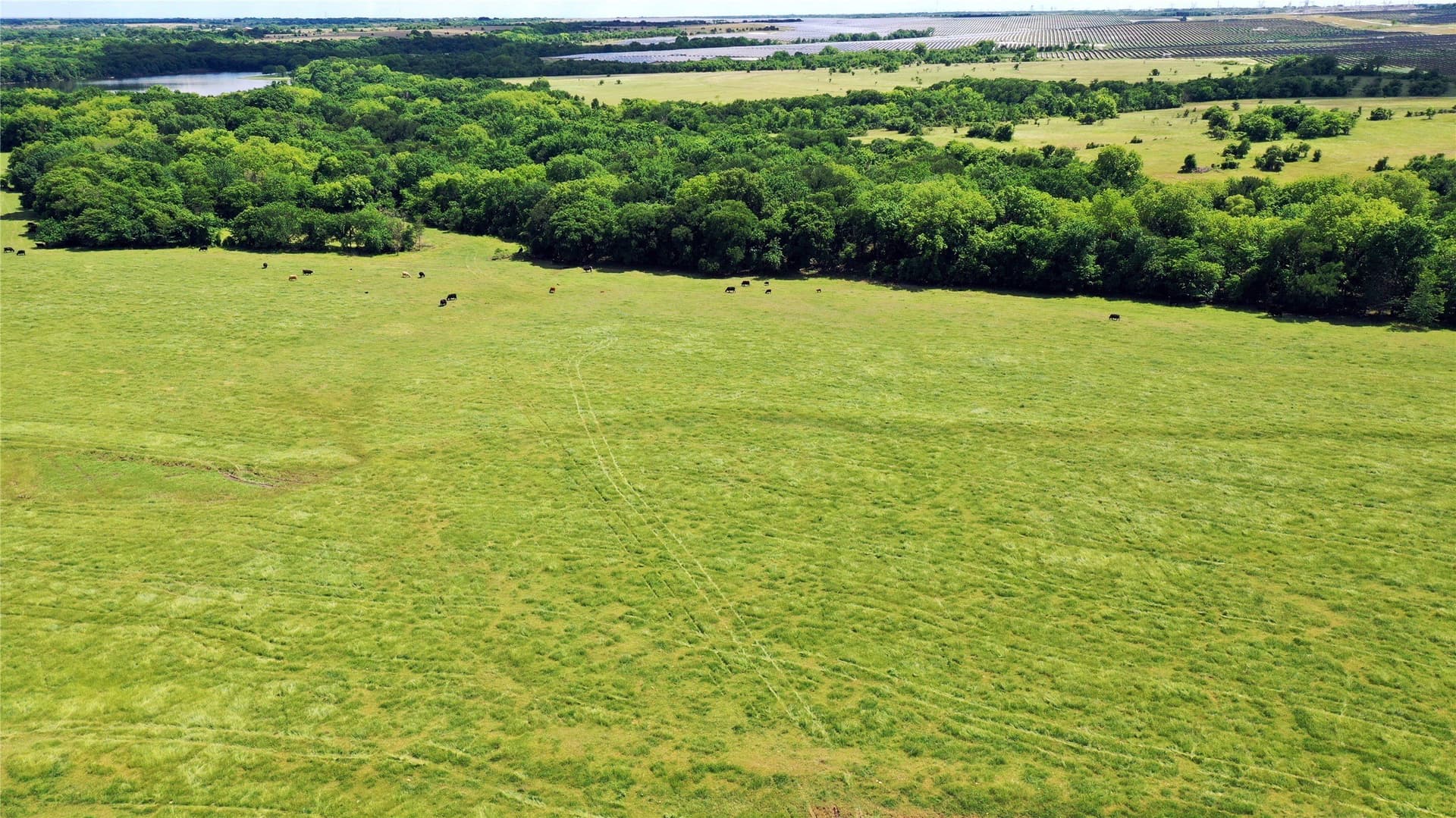 515 acres in Hill County - photo 10