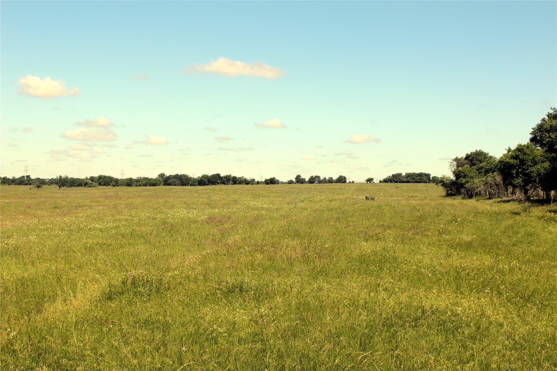 515 acres in Hill County - photo 17