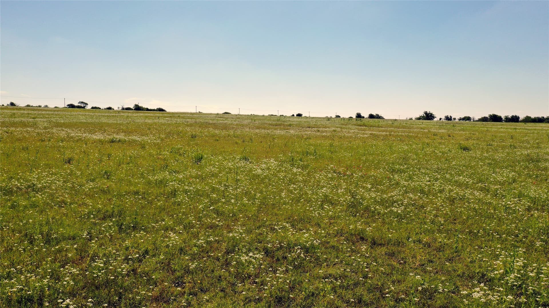 515 acres in Hill County - photo 21