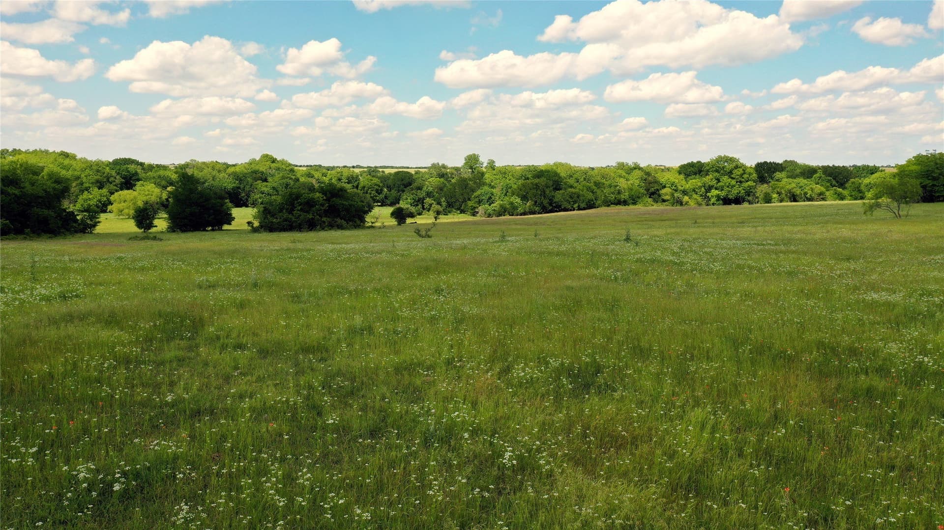 515 acres in Hill County - photo 15