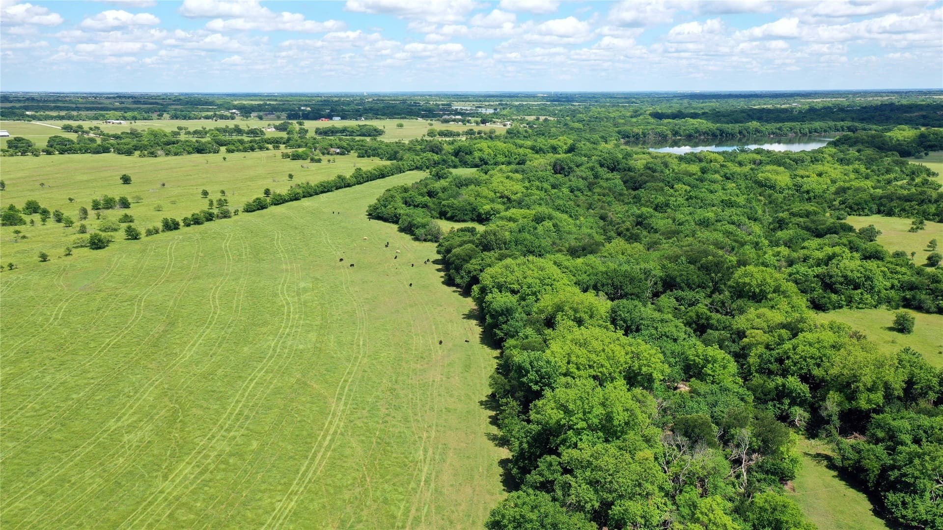 515 acres in Hill County - photo 7