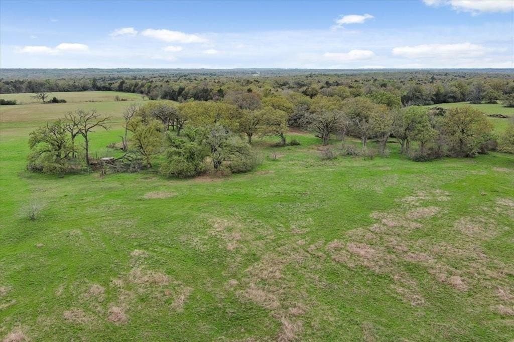 20.39 acres in Freestone County gallery image 4