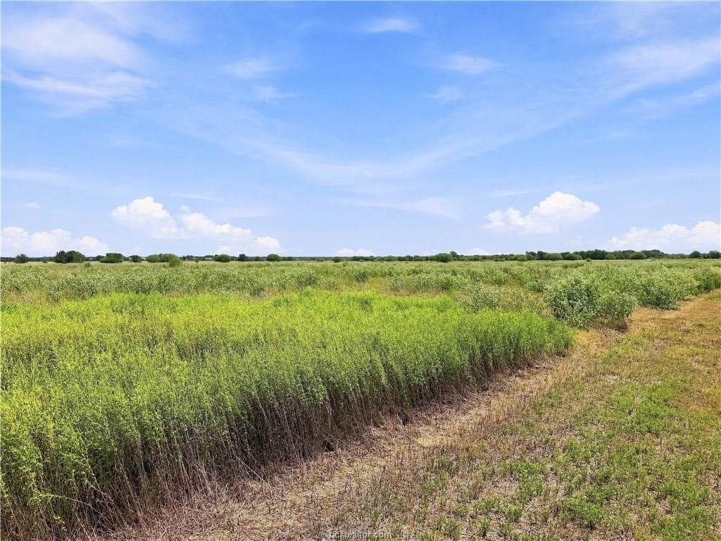 1.03 acres in Brazos County - photo 5