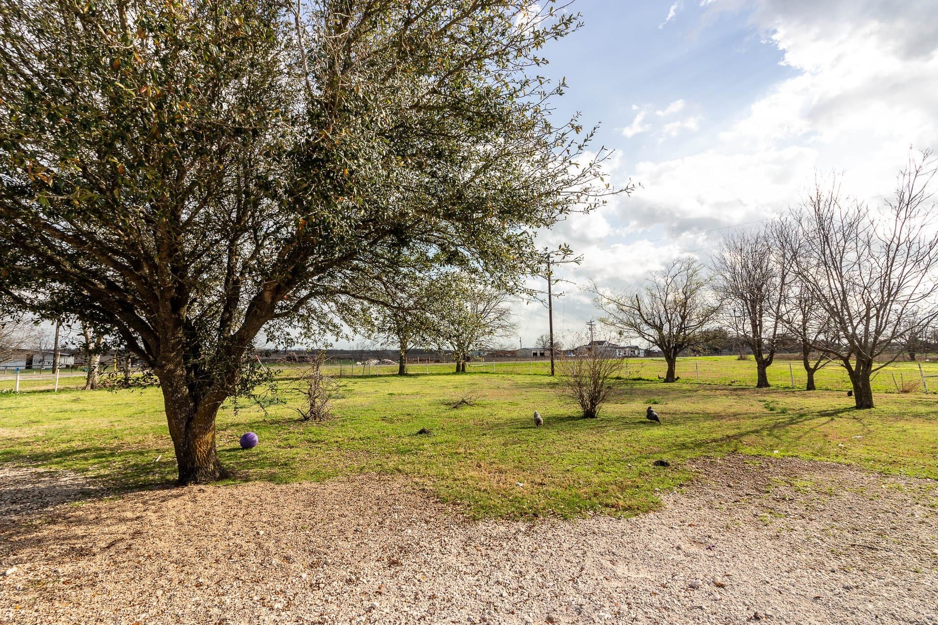 5 acres in Kaufman County - photo 10