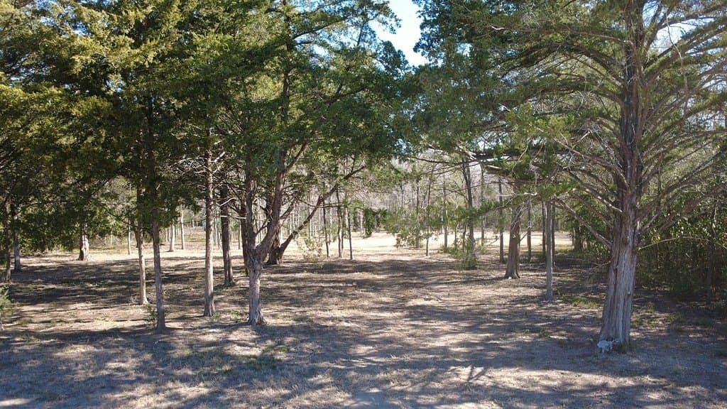 2.35 acres in Washington County gallery image 2