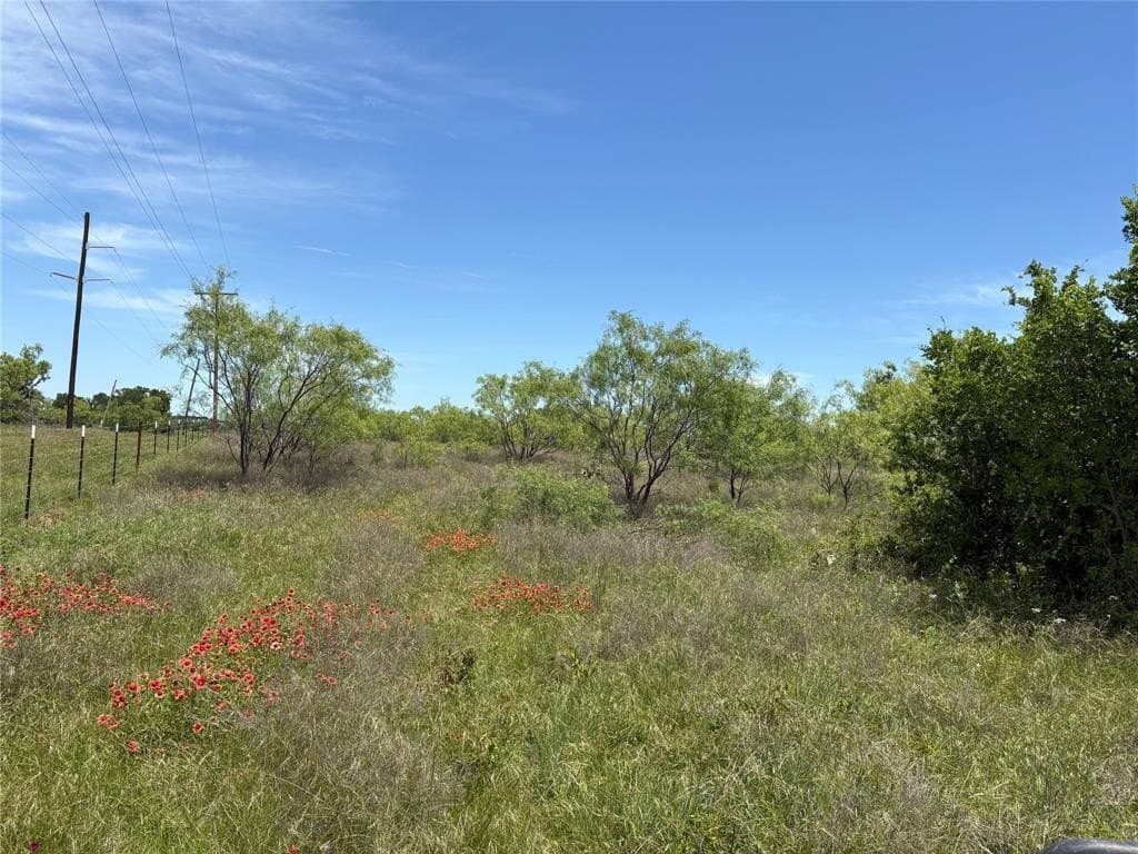 16.62 acres in Eastland County gallery image 3