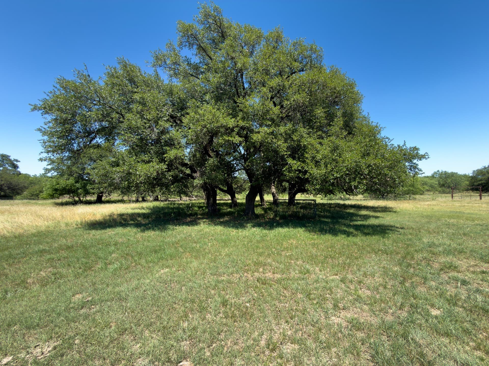 153.26 acres in Shackelford County - photo 33