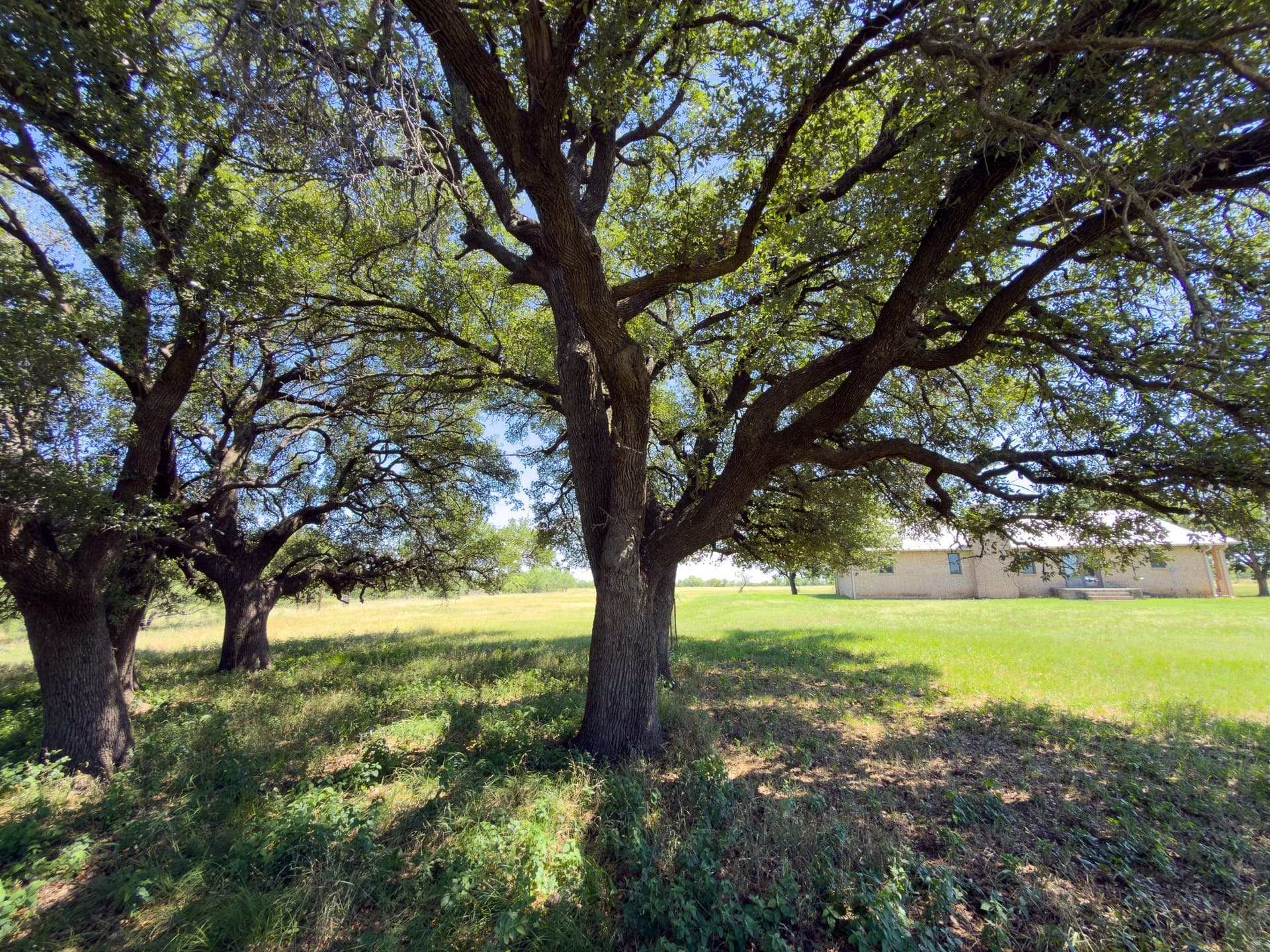153.26 acres in Shackelford County - photo 36