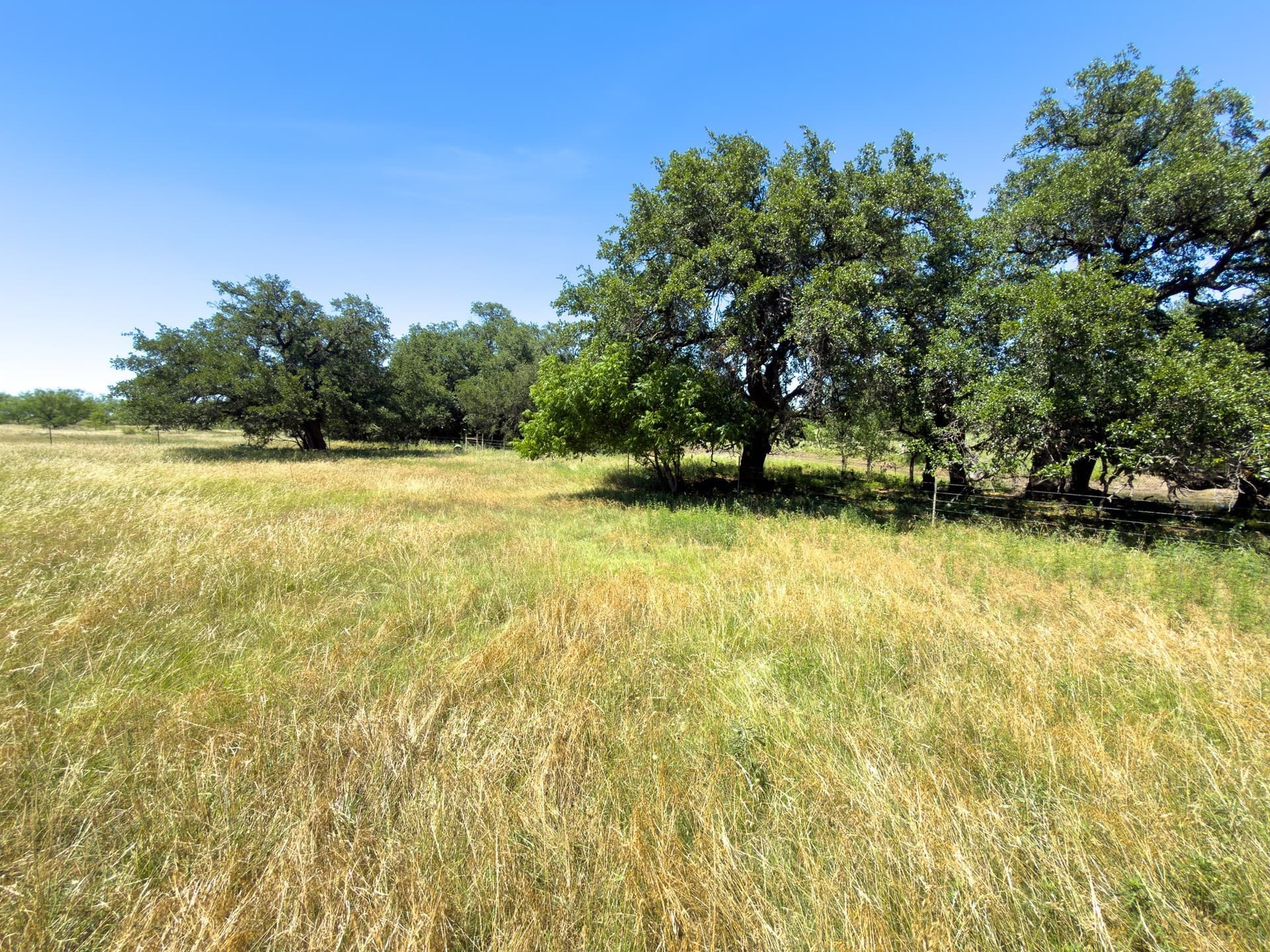 153.26 acres in Shackelford County - photo 34