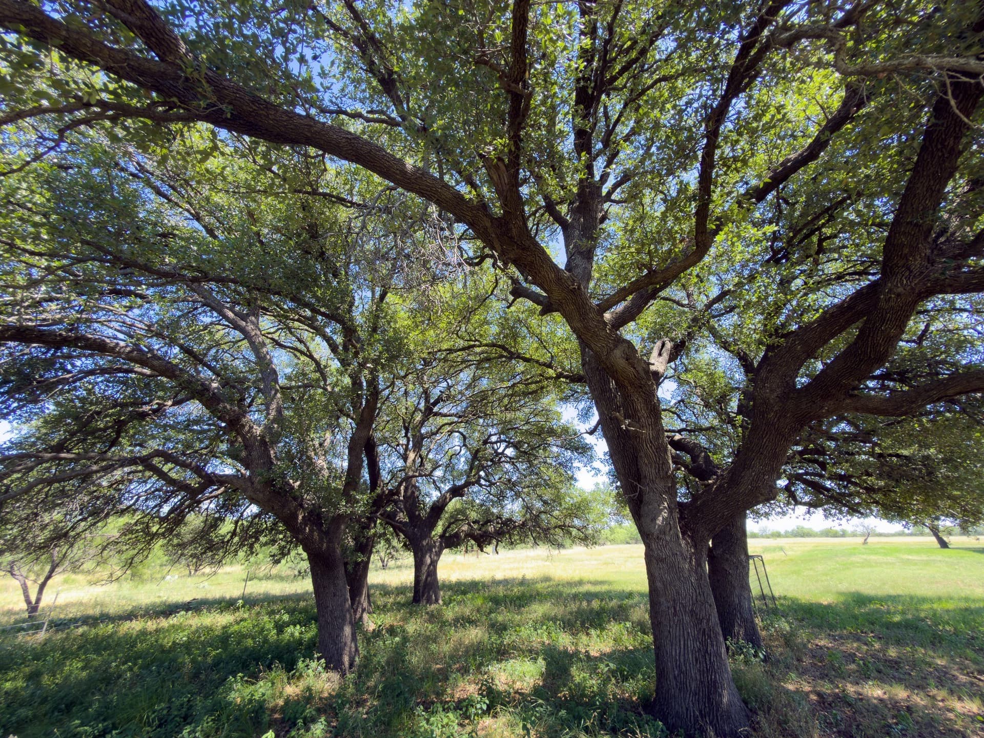 153.26 acres in Shackelford County - photo 4