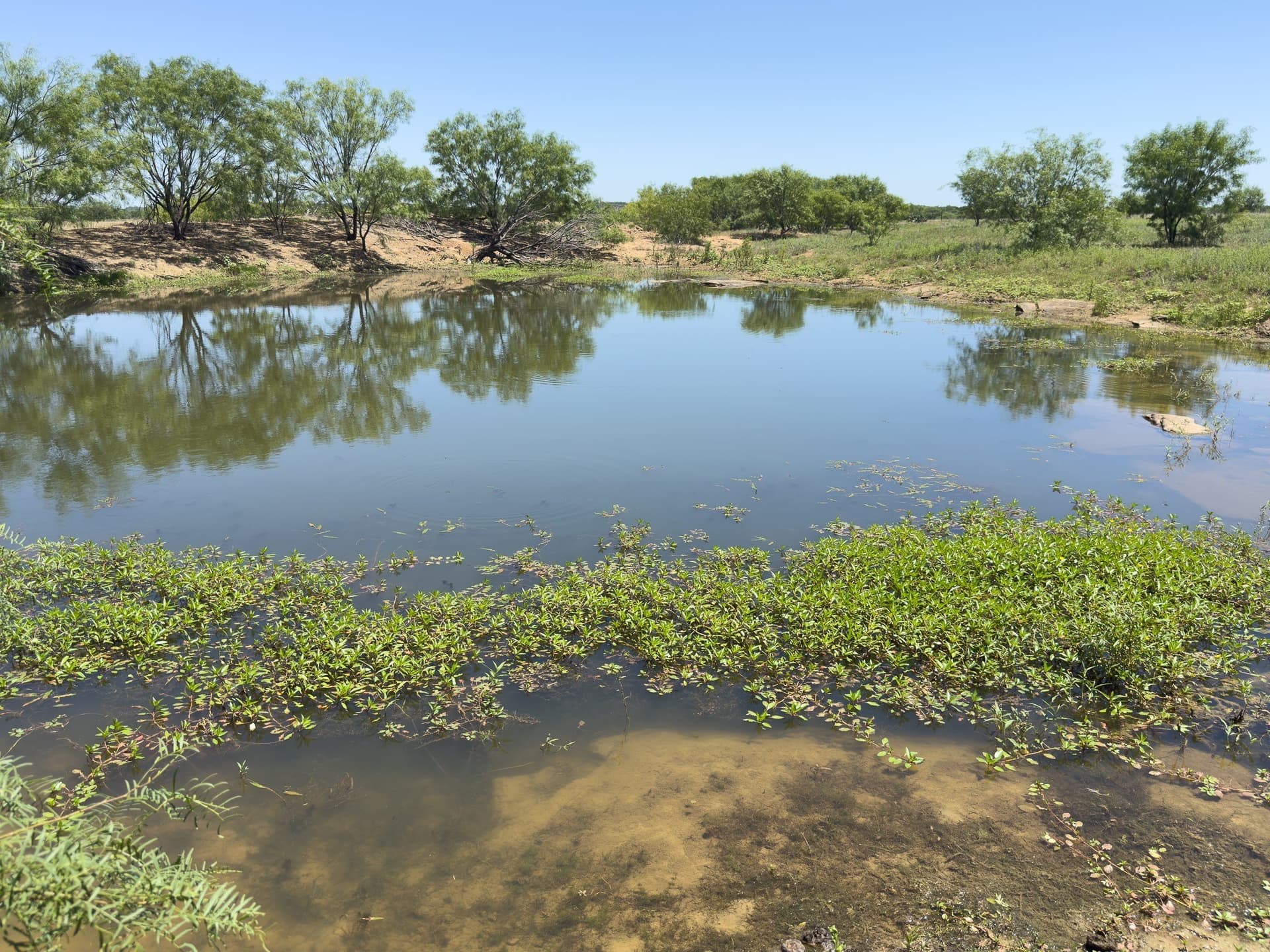 153.26 acres in Shackelford County - photo 6