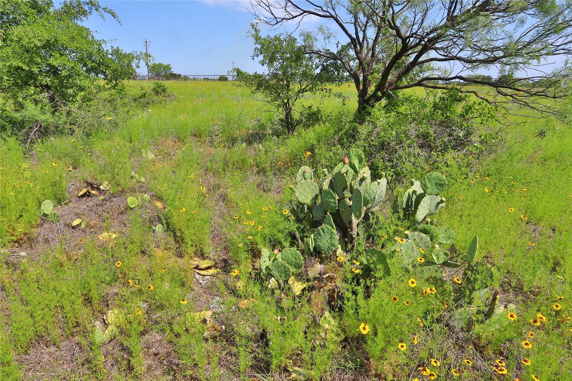 1.33 acres in Palo Pinto County - photo 10