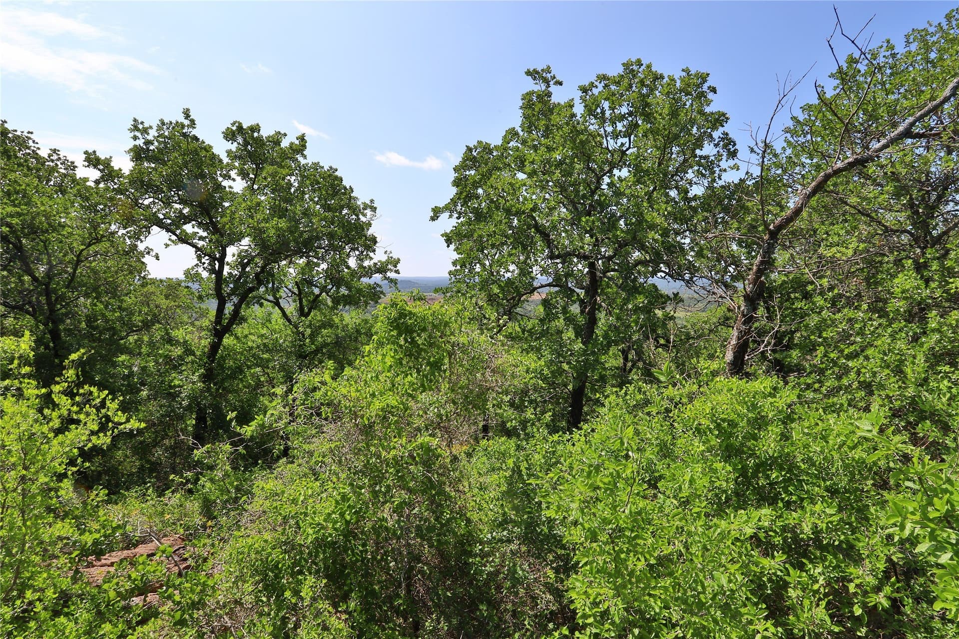 1.33 acres in Palo Pinto County - photo 4