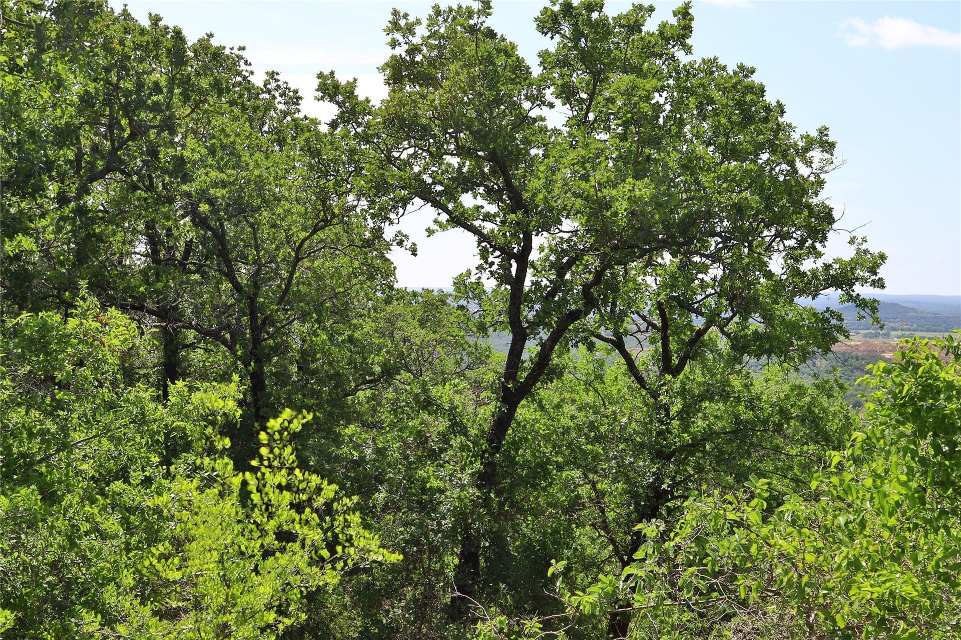 1.33 acres in Palo Pinto County - photo 7
