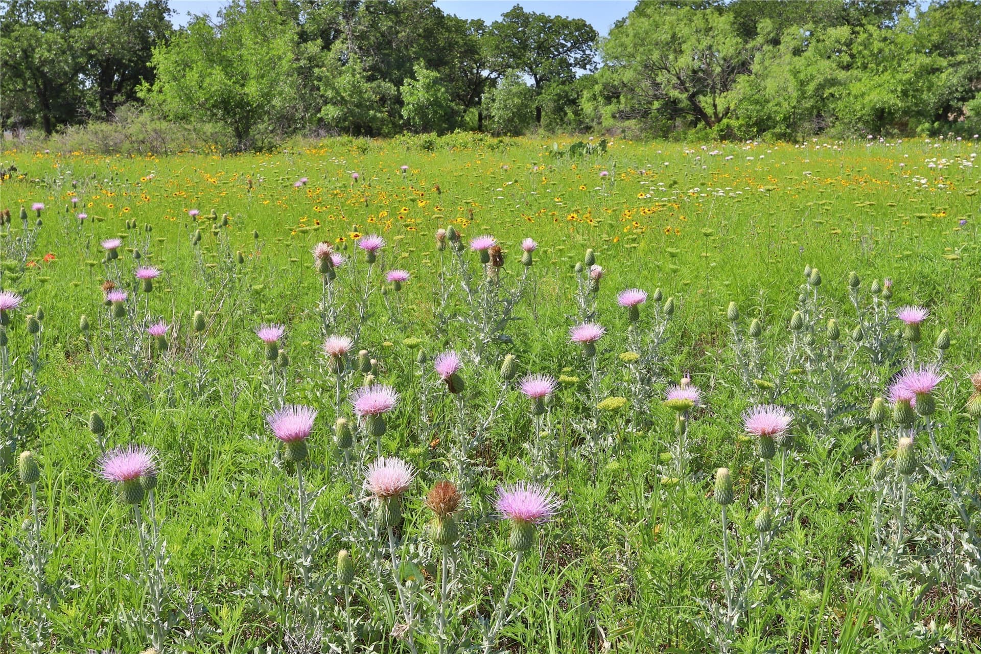 1.33 acres in Palo Pinto County - photo 11