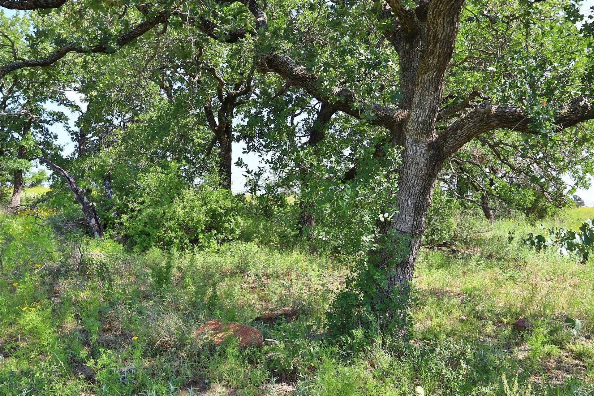 1.33 acres in Palo Pinto County - photo 6