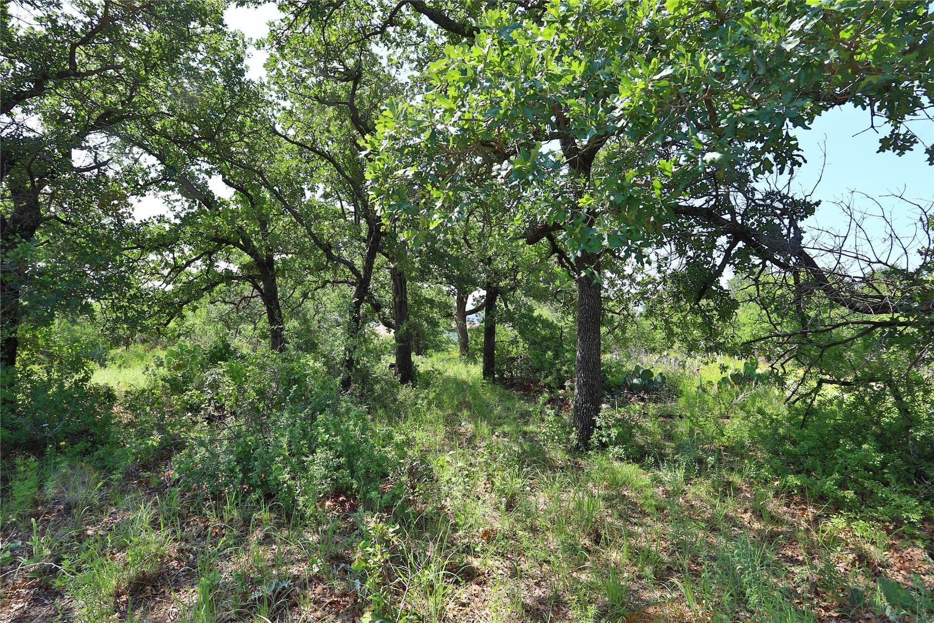 1.33 acres in Palo Pinto County - photo 9