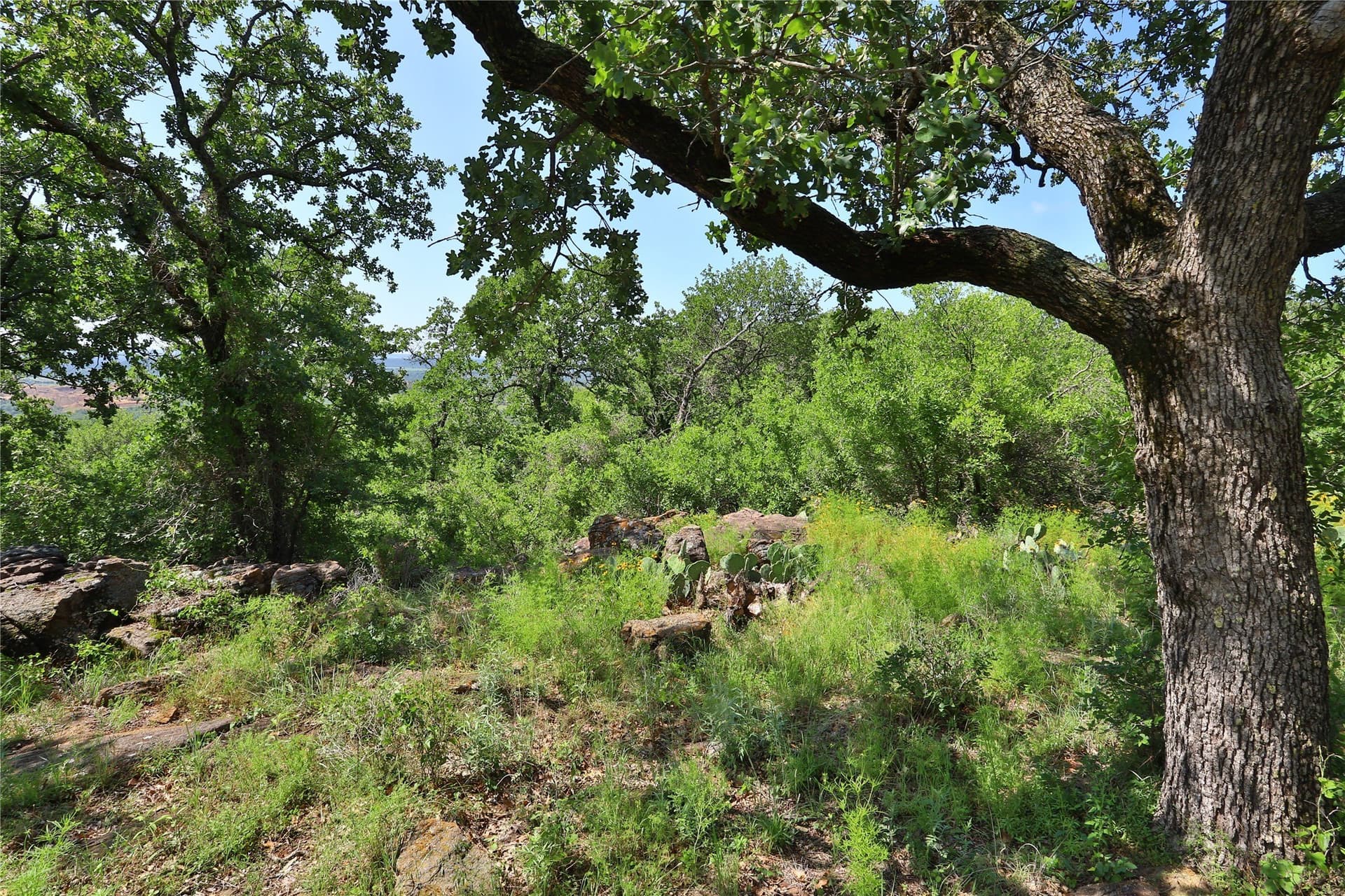 1.33 acres in Palo Pinto County - photo 8