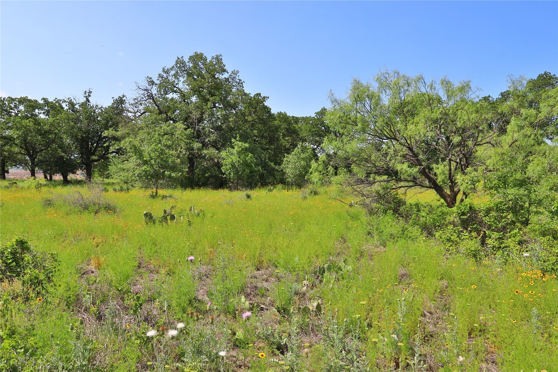 1.33 acres in Palo Pinto County - photo 12