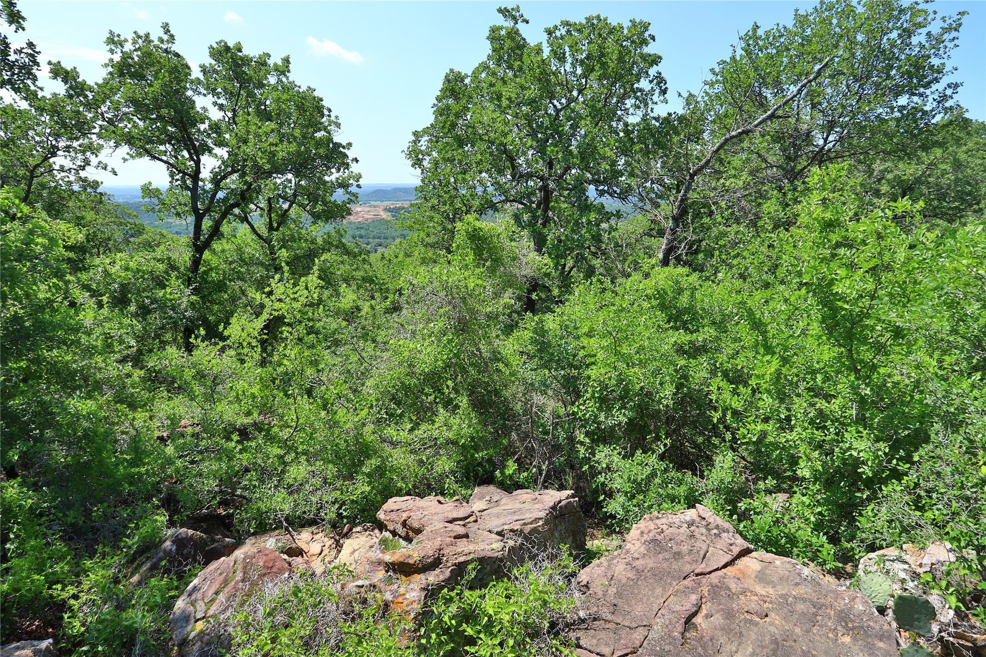 1.33 acres in Palo Pinto County - photo 5