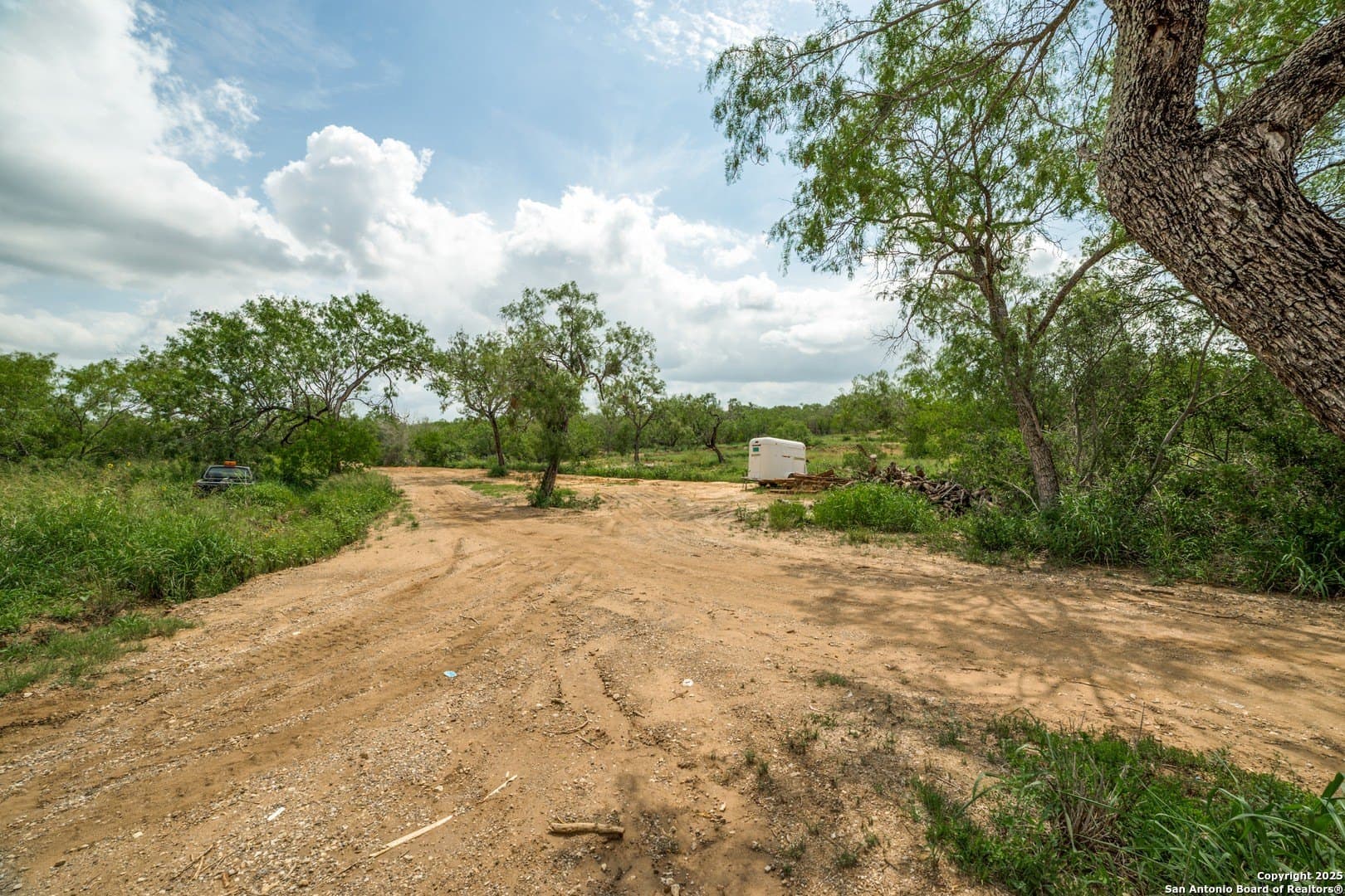 10.02 acres in Wilson County gallery image 2