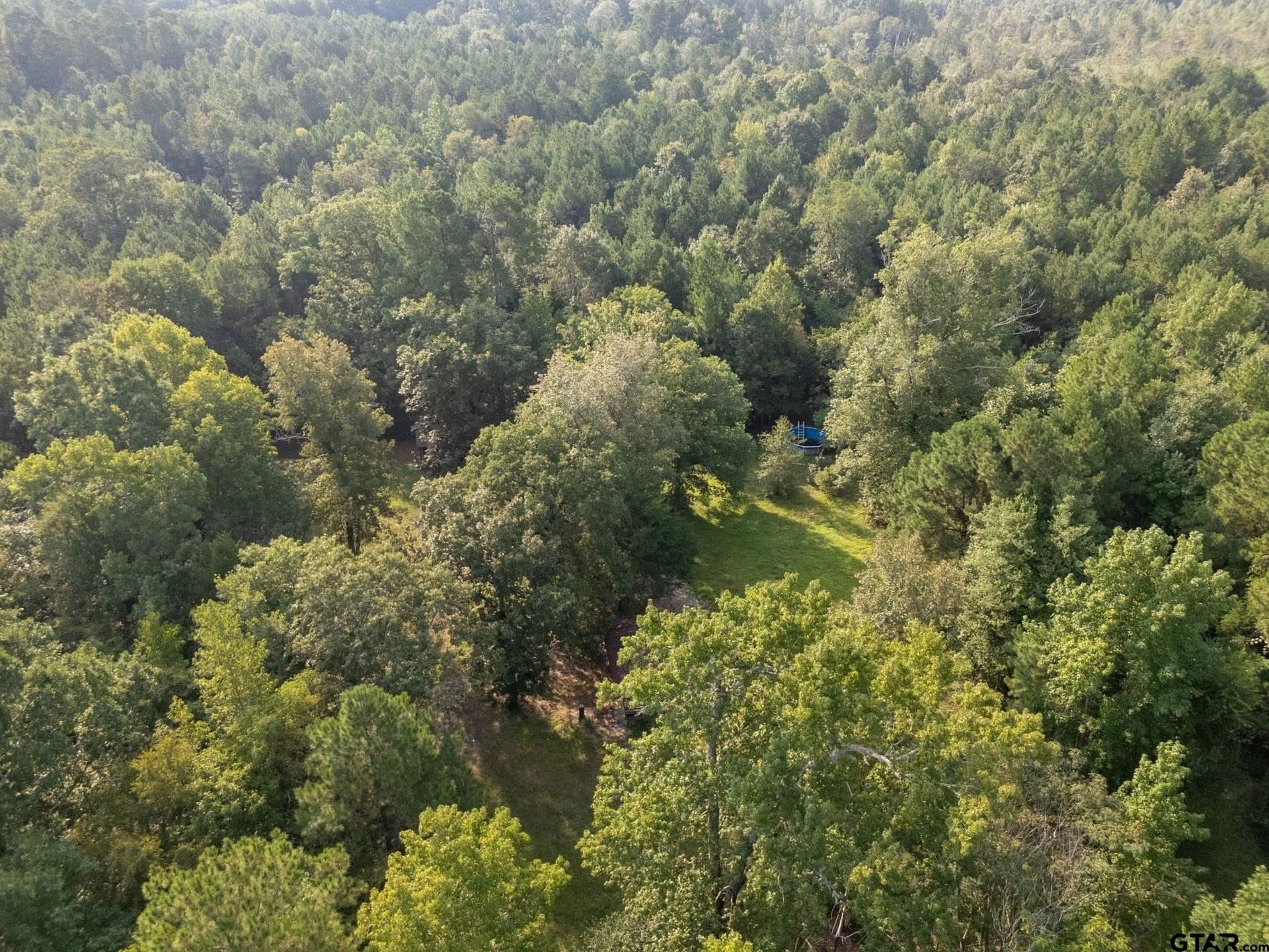 12.58 acres in Smith County gallery image 3