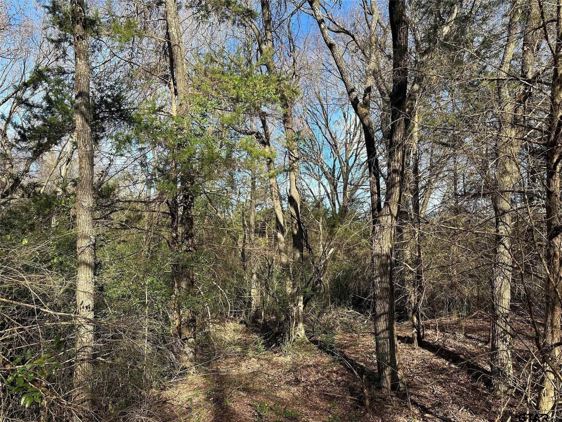 20 acres in Hopkins County - photo 16